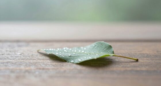 minimalist natural effortless beauty